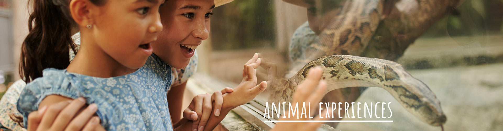 Toronto Zoo | Animal Experiences