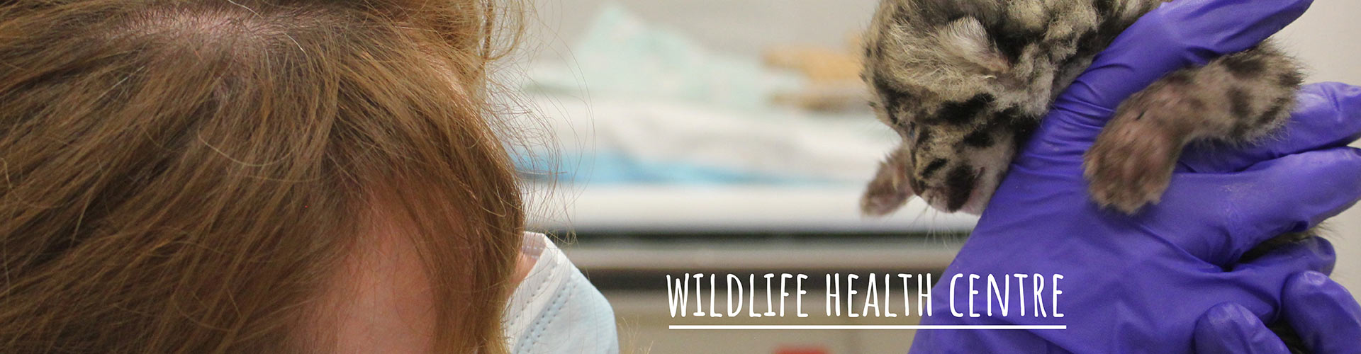 Wild Life Health Centre - Donors