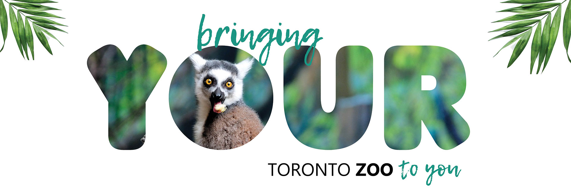 Zoo To You