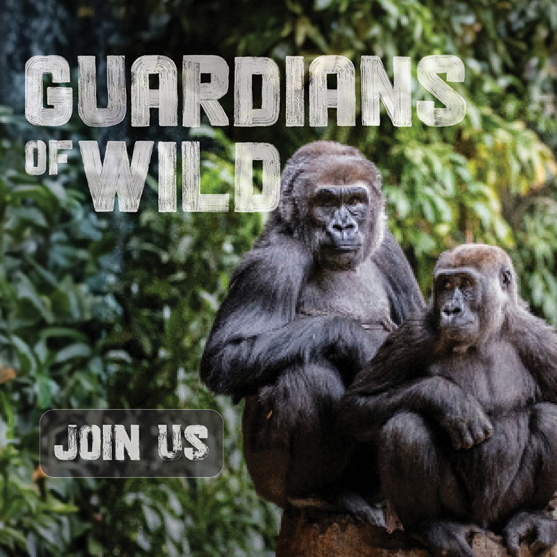 GUARDIANS OF WILD - JOIN US