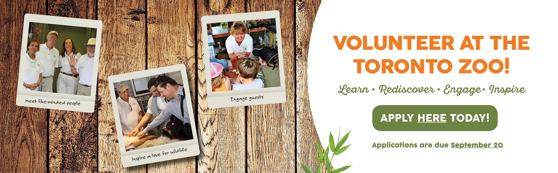 metro toronto zoo membership
