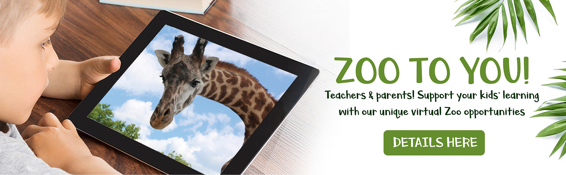 metro toronto zoo promo code