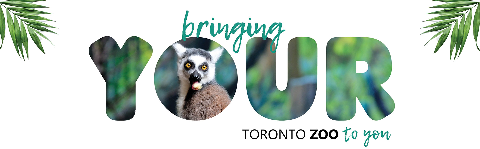 toronto zoo promo code 2023