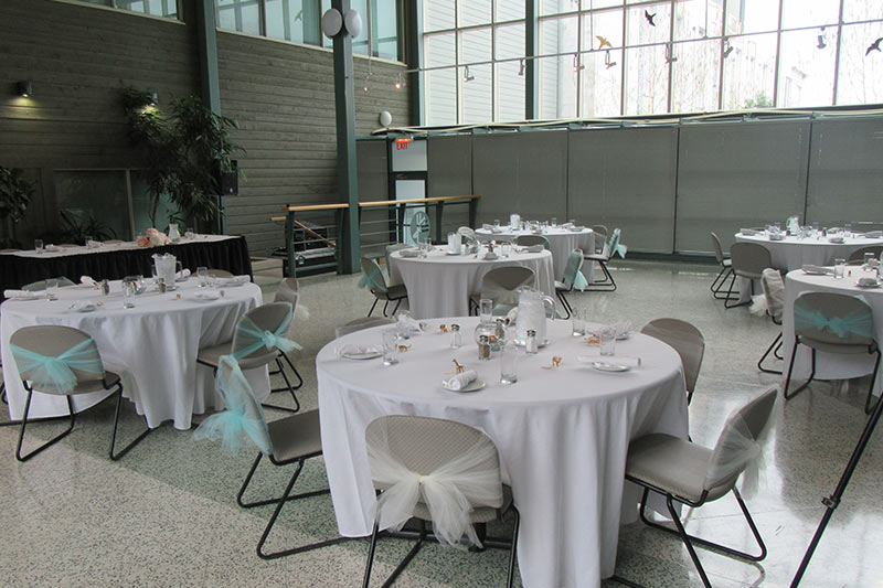 Toronto Zoo Host Your Event