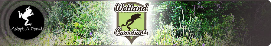 Wetland Guardians