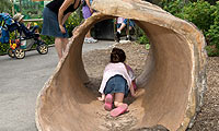 child playing in the sculptured hollow log