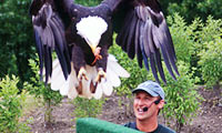 Eagle with trainer