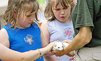 Kids petting a ferret