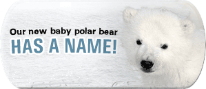 Naming Contest! Click Here