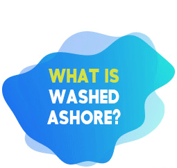 What Is Washed Ashore