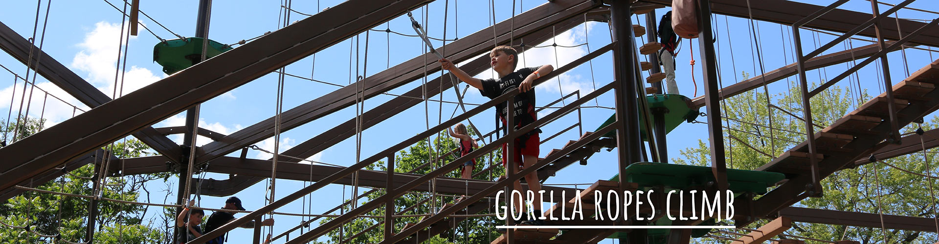 Gorilla Climb Ropes Coarse