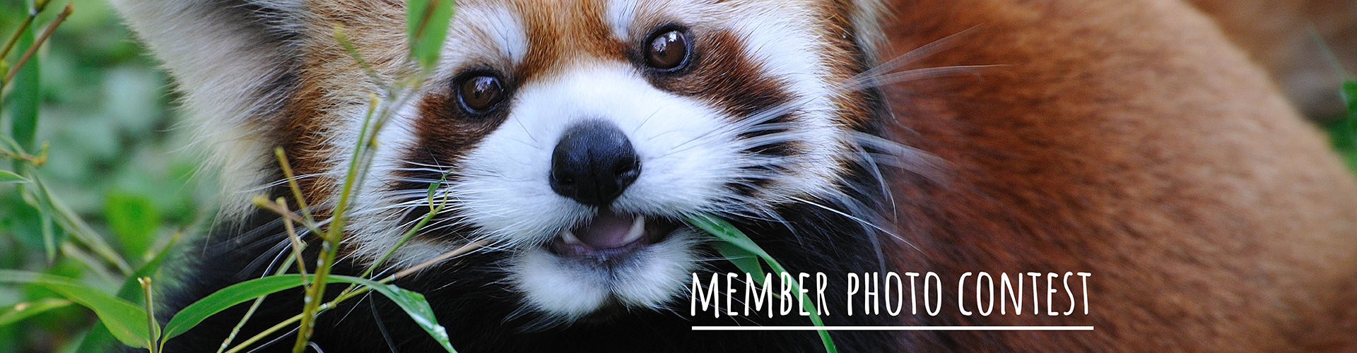 Members - 2020 Photo Contest Winners