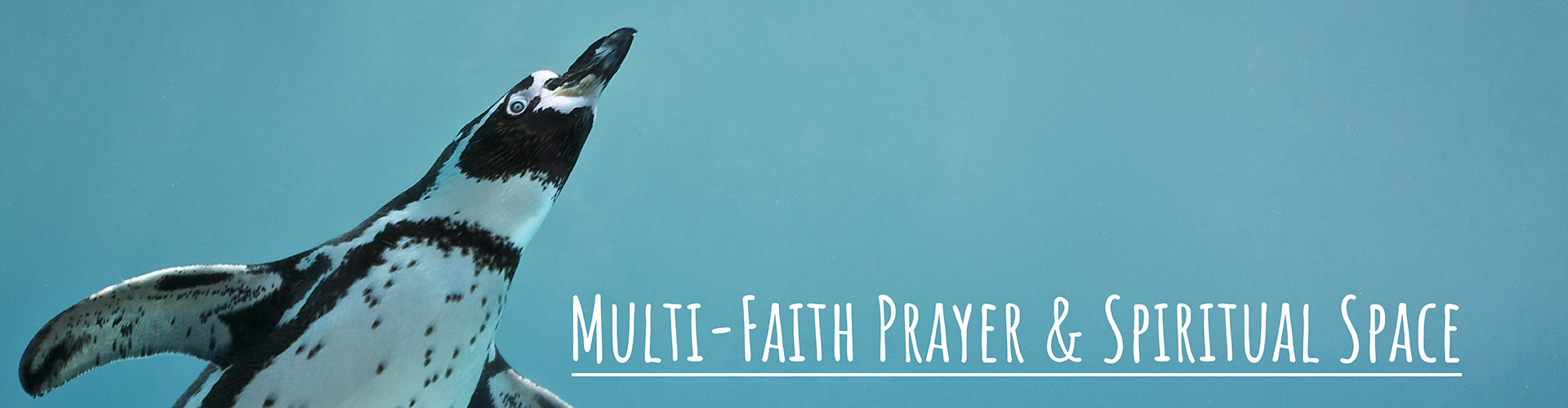 Multi-Faith Prayer & Spiritual Space