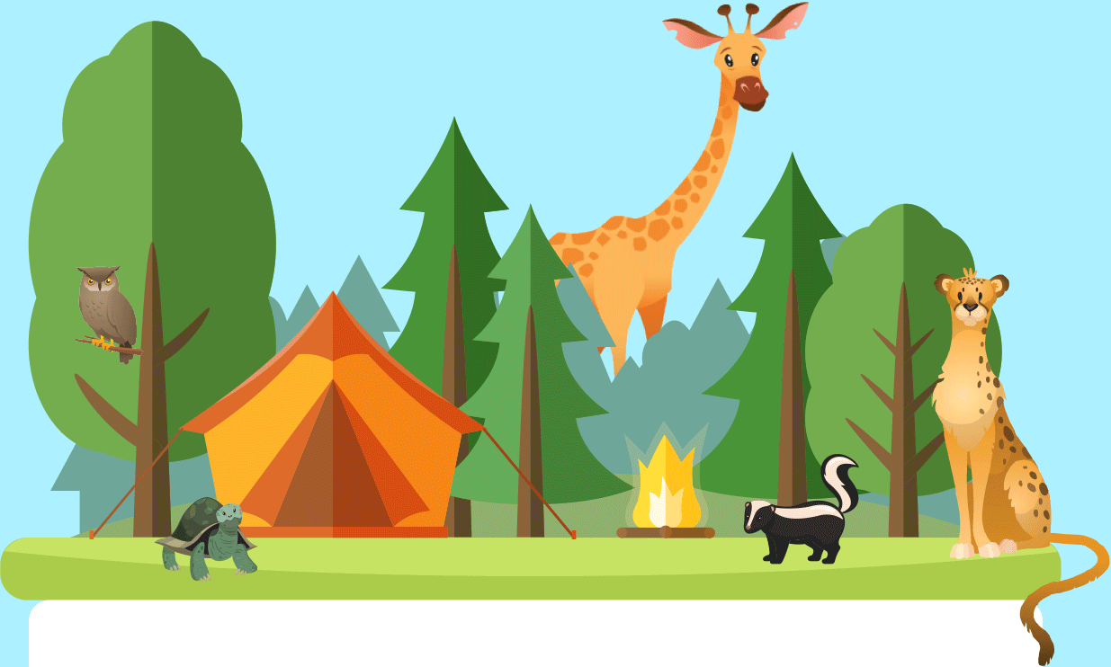 Virtual Camping