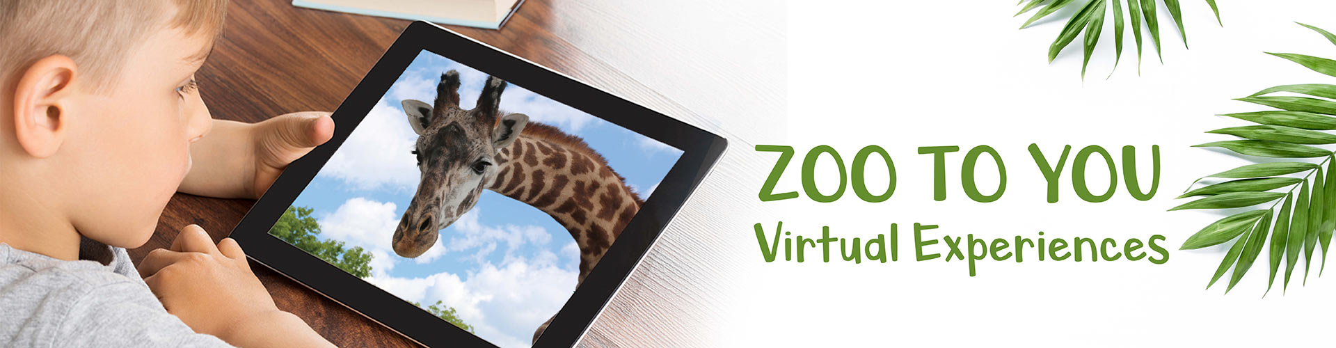 Zoo To You Virtual Experiences
