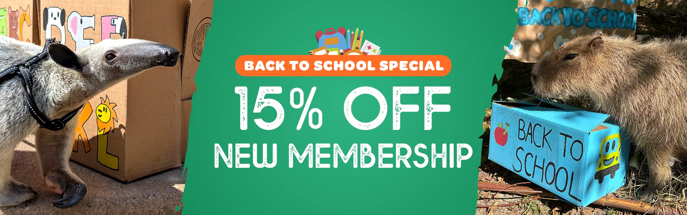 Back to school promo featuring the Tamandua and Capybara
