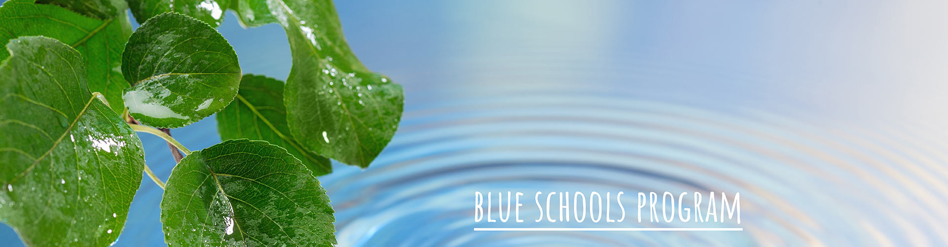 Blue Schools Program