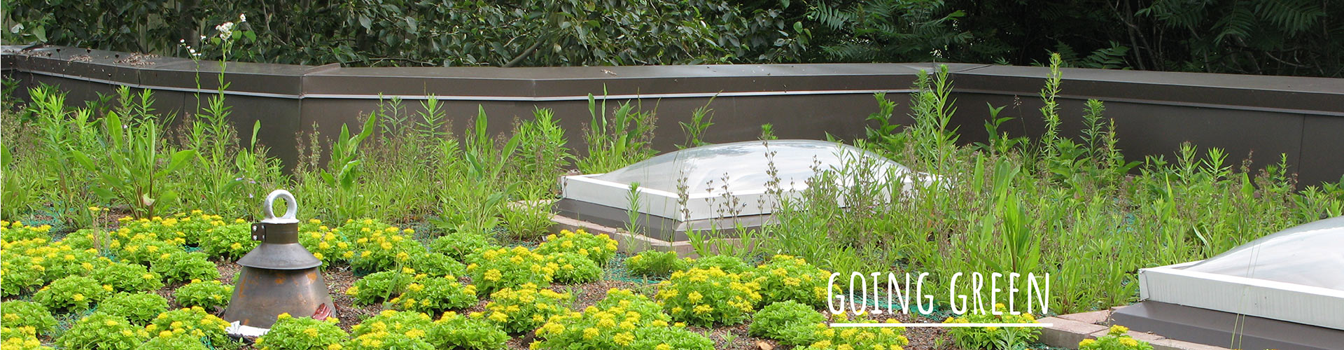 Going Green - Green Roof