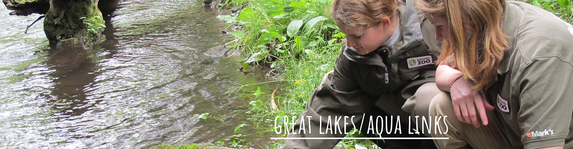 Great Lakes Conservation