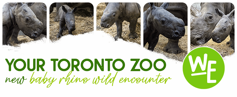 Availability: March 1-April 30