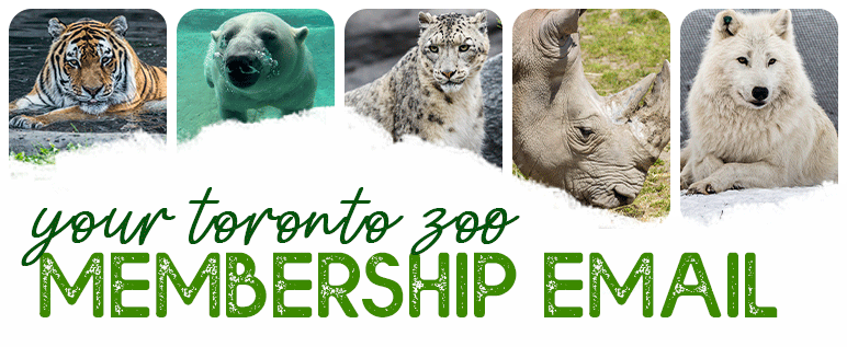 Please note the Zoo will have a late opening of 10:30am on Saturday ...