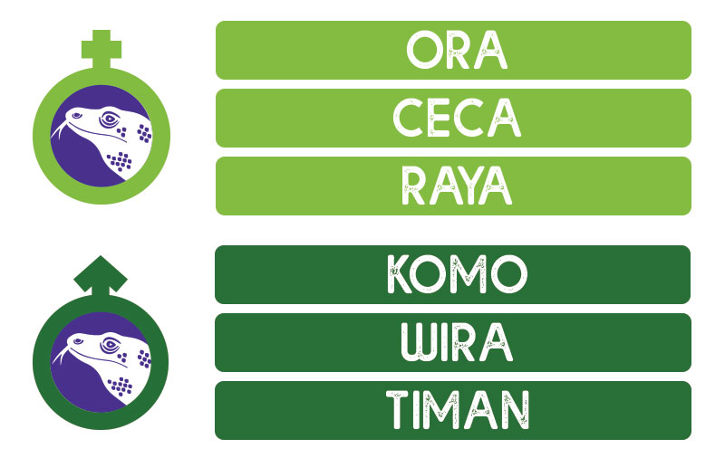 List of Komodo dragon names to pick from