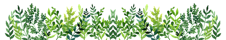 Illustration of green foliage