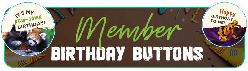 Member Birthday Buttons