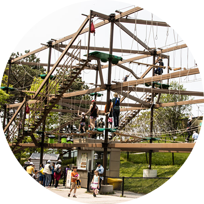 Gorilla Climb Ropes Course
