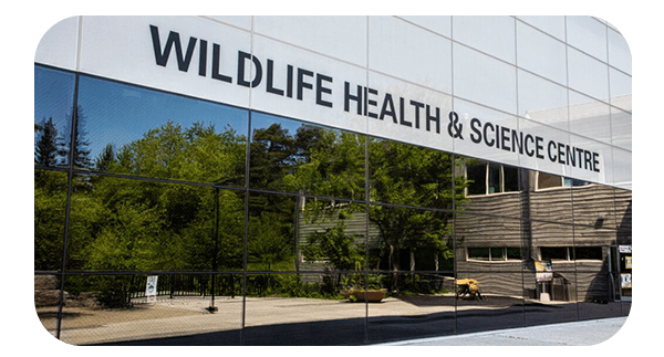 The front entrance of the Wildlife Health and Science Centre