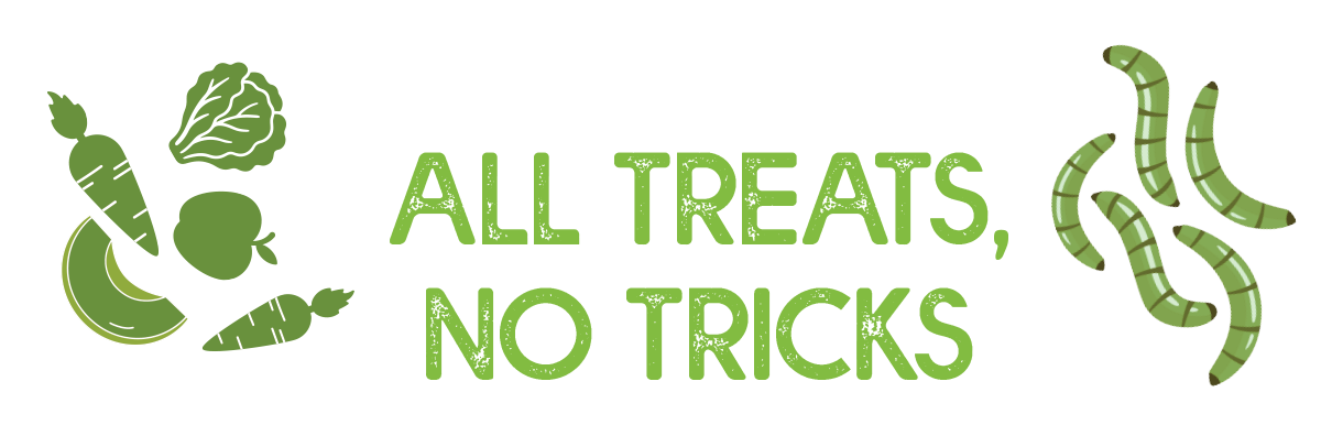 Adopt an Animal - All Treats, No Tricks