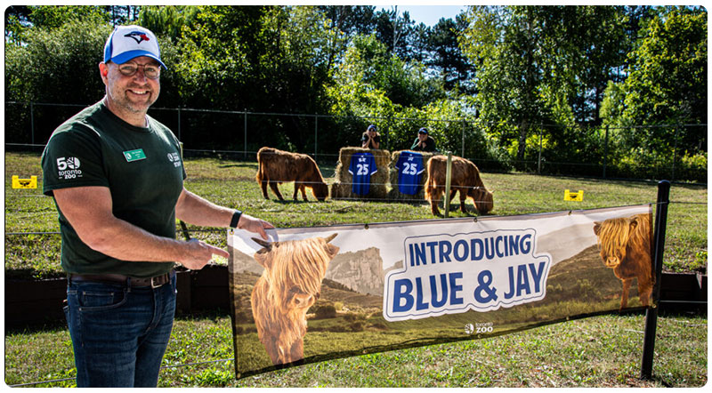 Dolf DeJong pointing to the Highland cattle name reveal banner with the Highland cattle grazing in the background.