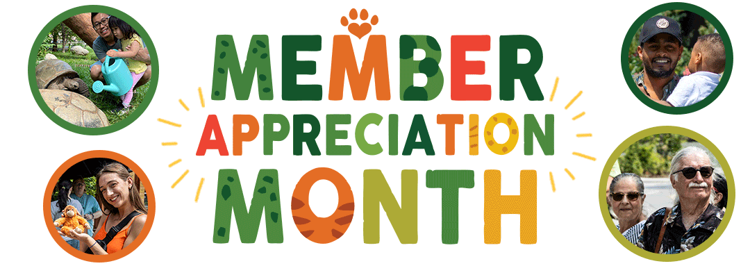 Member Appreciation Month