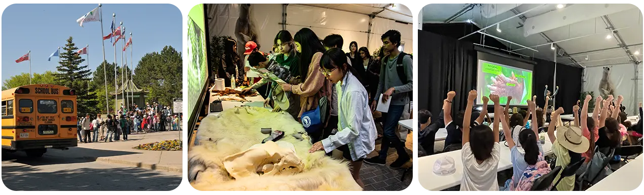 Images of a school bus dropping off students at your Toronto Zoo, and two class rooms of students sitting in from of digital presentaions in the Toronto Zoo special events centre