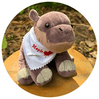 Pygmy hippo plush toy