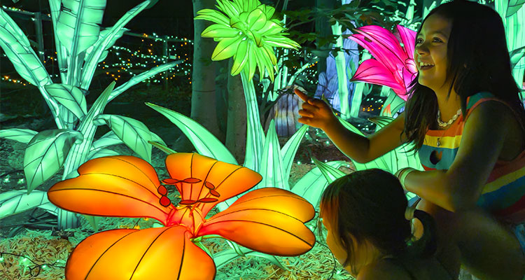 2 children admiring illuminated plant lanterns