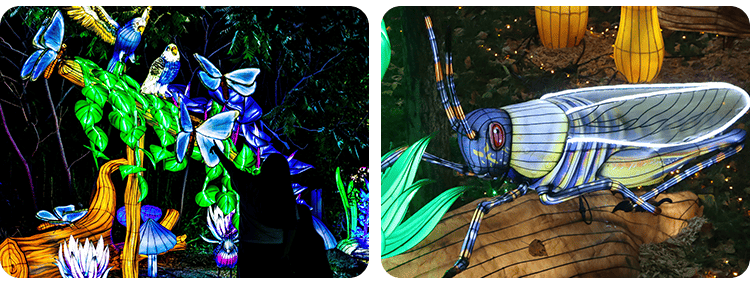 Various lanterns illuminated at night featuring a grasshopper
