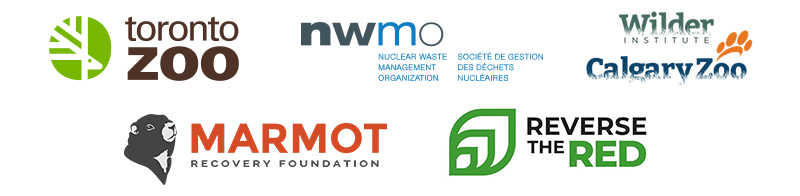Logos of Toronto Zoo, NWMO, Wilder Institute, Calgary Zoo, Marmot Recovery Foundation, and Reverse the Red