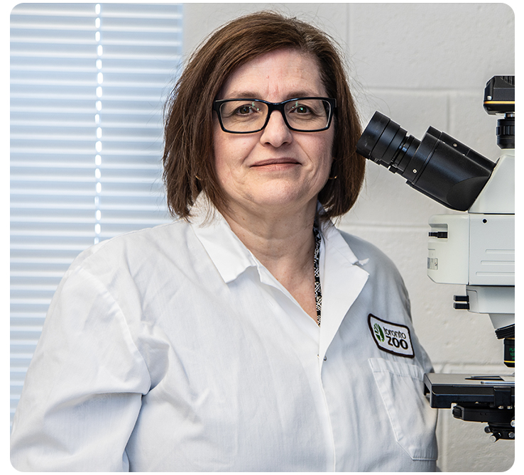 Dr. Gabriela Mastromonaco, Toronto Zoo Chief Science Officer  