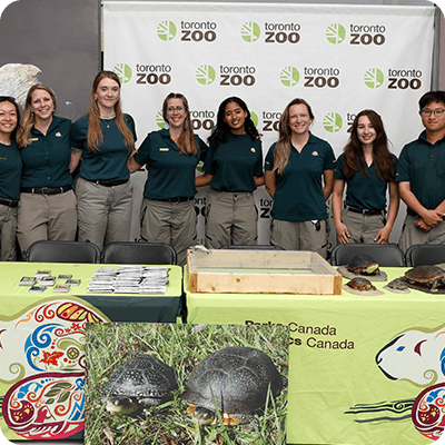 Adopt an Animal package featuring collectible trading cards