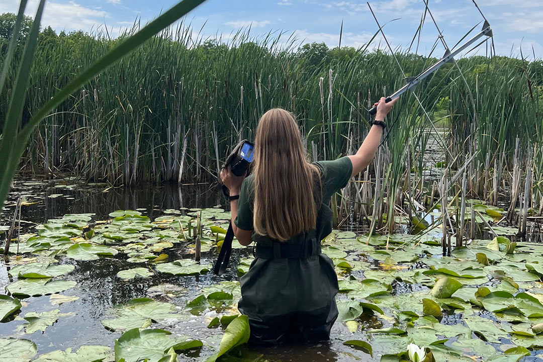 Woman holding telemetry equipment standing in a pond