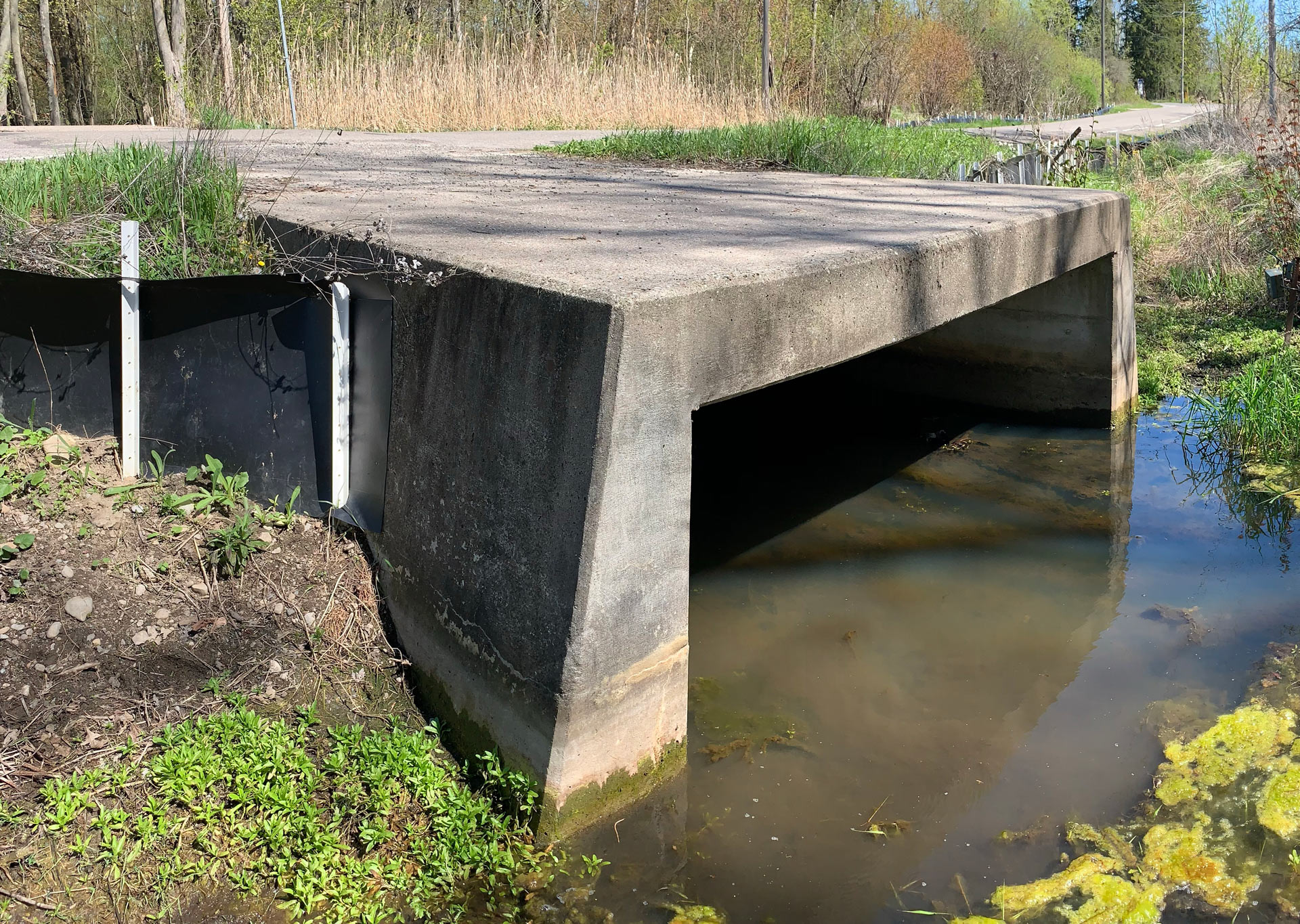 Fencing installed in 2019 on both sides of culvert to act as an eco-passage for the nearby wetland habitat.