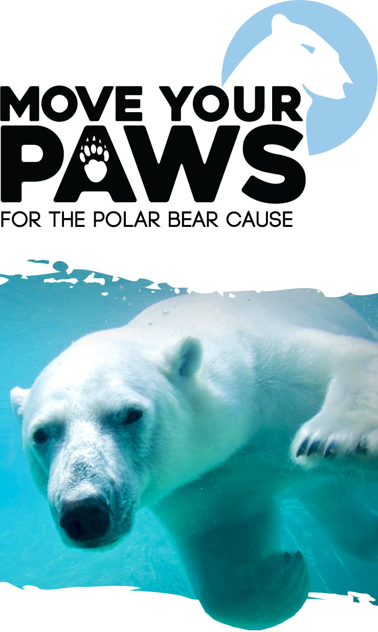 Move Your Paws Logo above a polar bear swimming under water at the Toronto Zoo