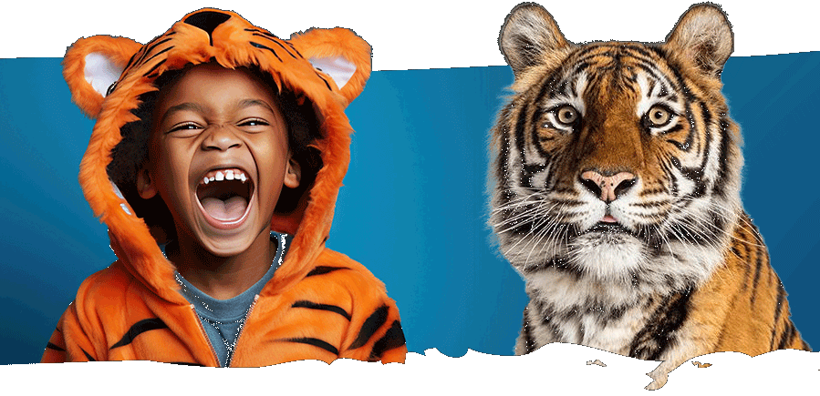 A child in a halloween costume roars like a tiger and an actual tiger sits beside him.