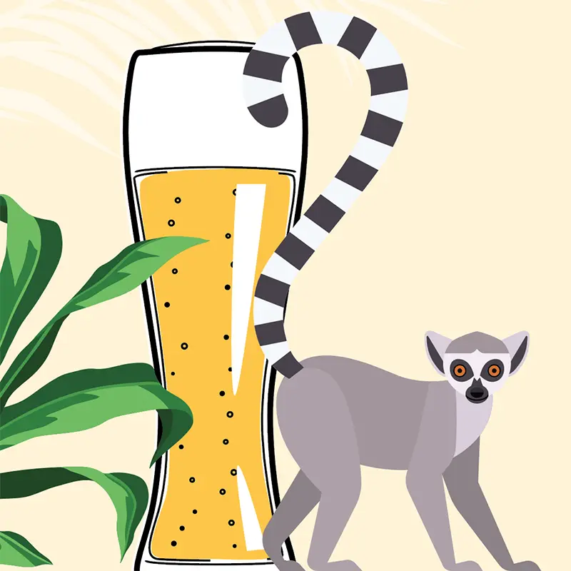 Illustration of Lemur beside a lager