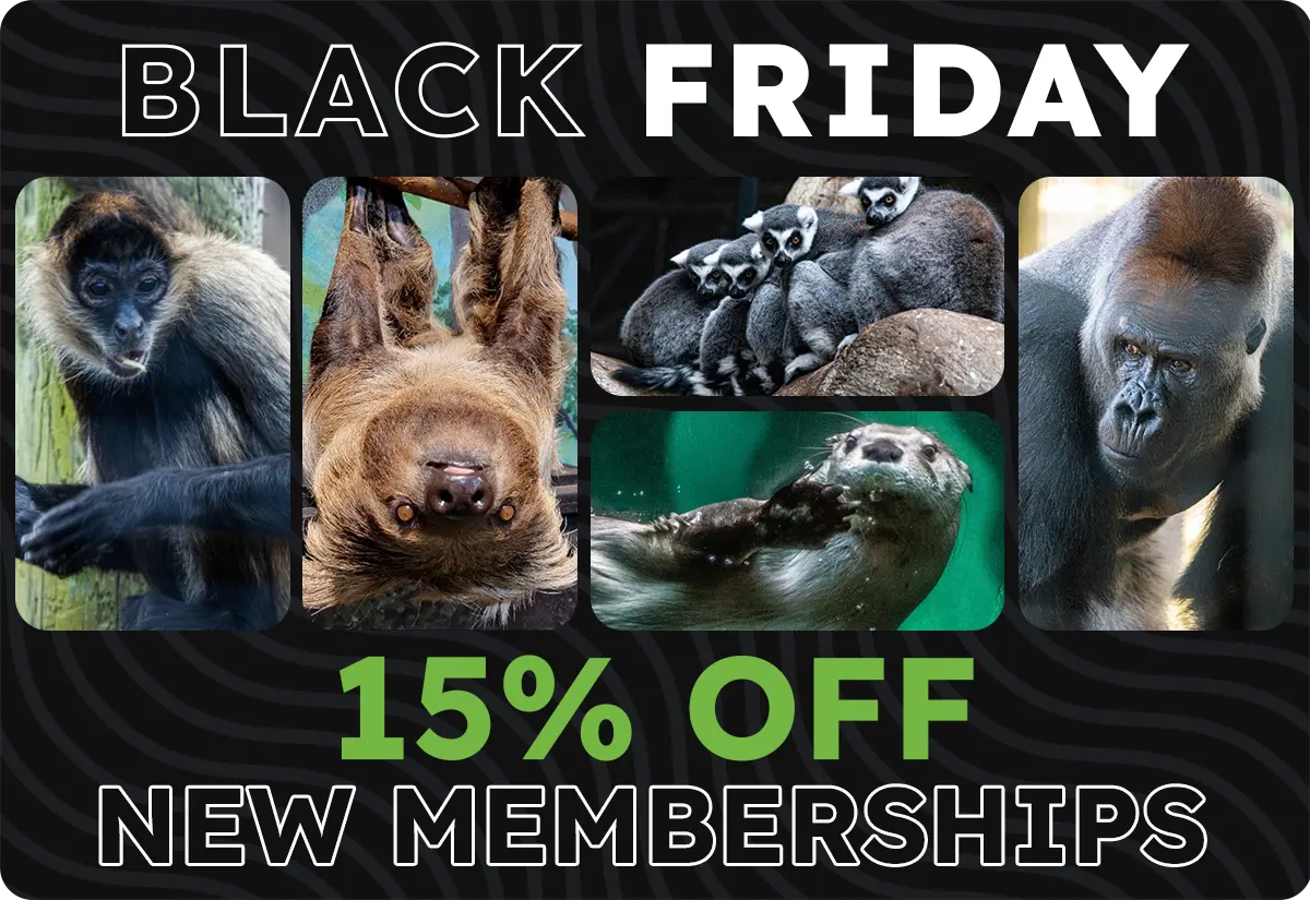 Black Friday - 15% OFF NEW Toronto Zoo Memberships