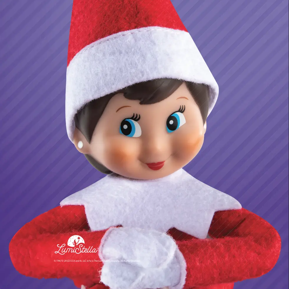 Budi the Orangutan in the outdoor habitat at Your Toronto Zoo