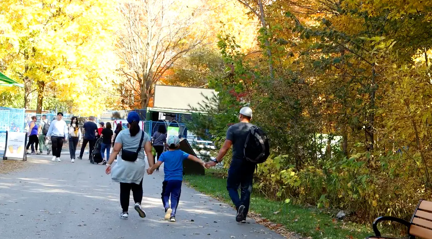 What's Happening At Your Toronto Zoo