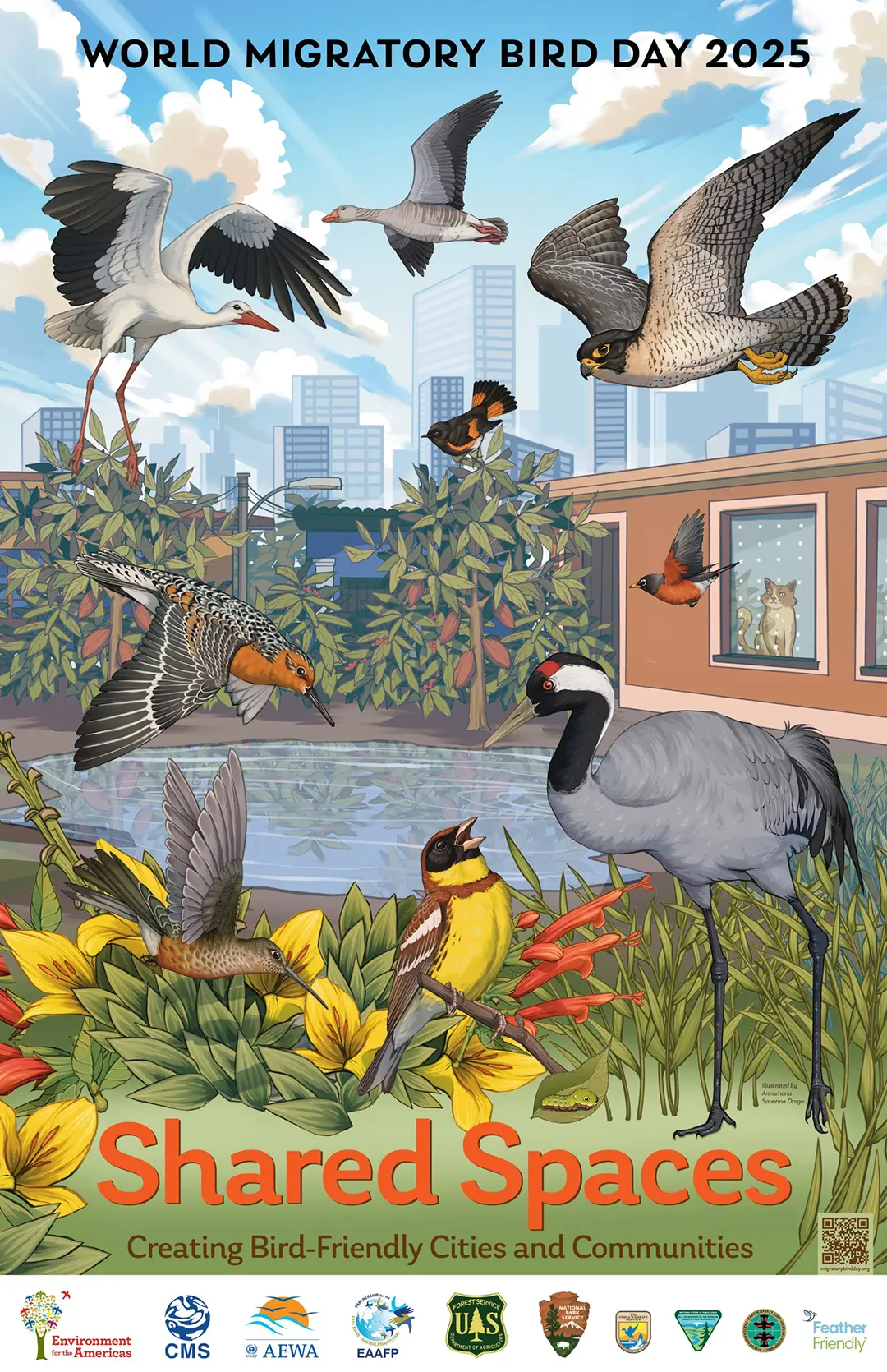Migratory Bird day poster featuring a variety of birds and insects