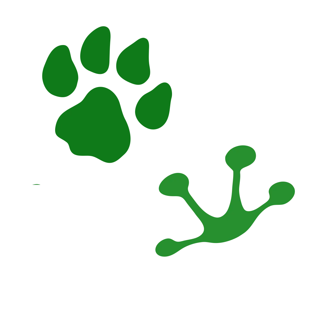 Stamped shapes of a lions and a frogs foot